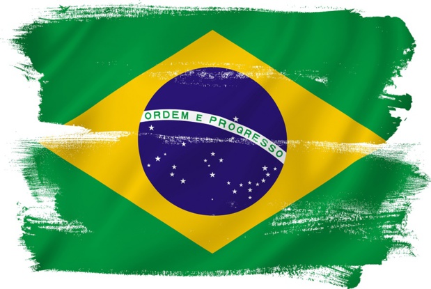 Une épidémie de fièvre jaune touche actuellement le Brésil - DR : somartin-Fotolia.com