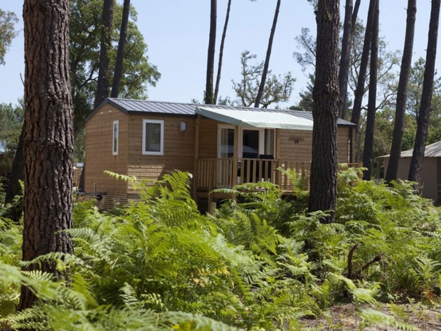Le camping de Soustons, ex-FRAM Nature repris par Sandaya, propose des hébergements en bungalows de 2, 4 ou 6 personnes - Photo : FRAM Nature