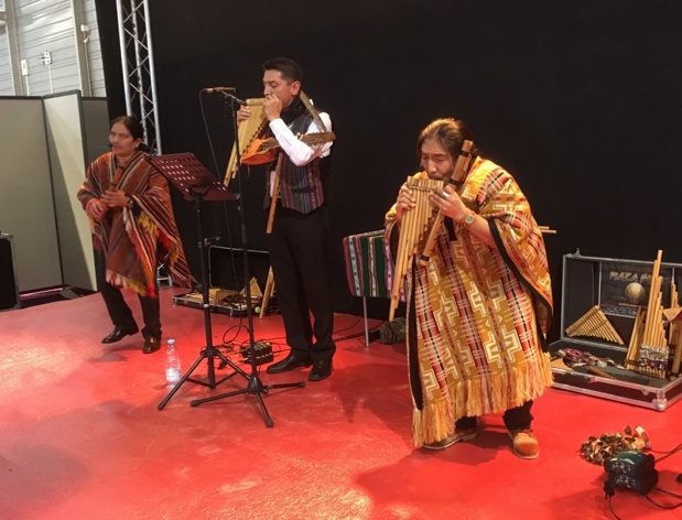 Les animations musicales pendant le salon - Photo Festivitas Les animations musicales pendant le salon - Photo Festivitas