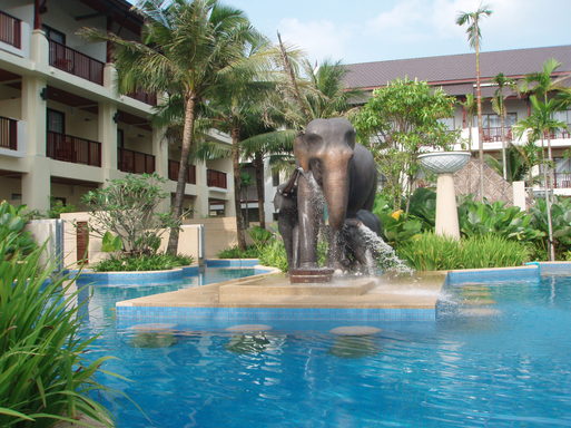 La piscine paysagée s’intègre parfaitement dans le jardin tropical