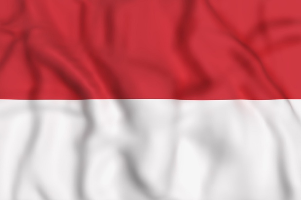 Le drapeau de la République d'Indonésie - DR : erllre - Fotolia.com
