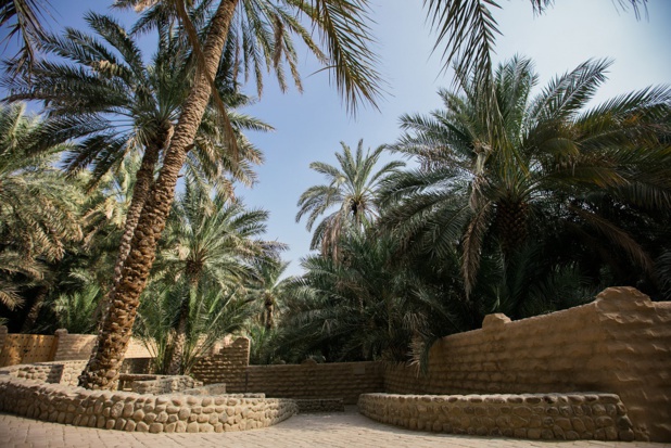 Abu Dhabi : le patrimoine de l'Oasis d'Al Aïn mis en valeur en 2017