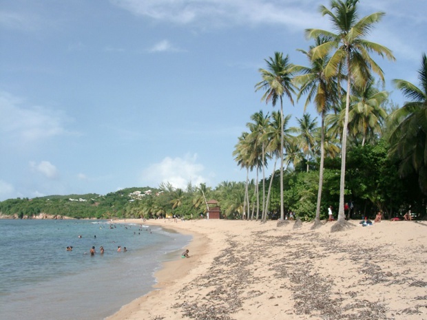 Cet hiver la fréquentation touristique de la Martinique repart de plus belle. La destination a attiré plus de 850 000 touristes en 2016 - DR : JDL