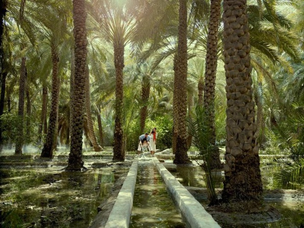 L’oasis Al Ain, le berceau de la culture bédouine, inscrite au patrimoine mondial de l’Humanité - Photo : TCA L’oasis Al Ain, le berceau de la culture bédouine, inscrite au patrimoine mondial de l’Humanité - Photo : TCA