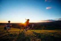 Photo : Fabien THIBAULT Photo : Fabien THIBAULT