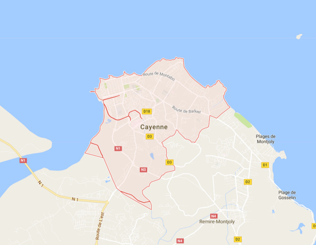 Air France et Air Caraïbes annulent leur vol - Copie écran MAP