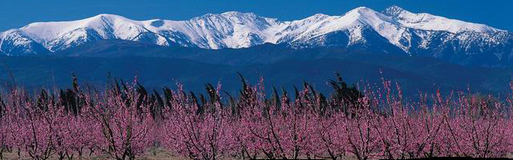 Le CRT Languedoc-Roussillon prépare la saison 2009 Le CRT Languedoc-Roussillon prépare la saison 2009