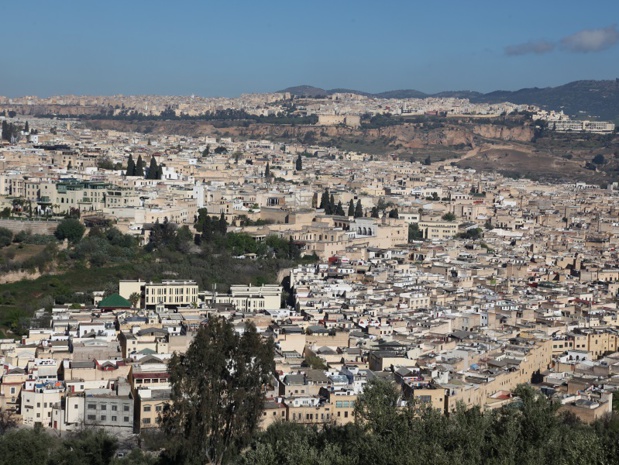 Vue la ville de Fès (c) RBT