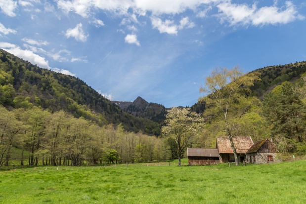 Exposition et circuits de randonnées pour célébrer les 120 ans de la Traversée du Massif des Vosges. DR: Olympixel