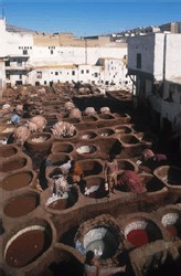 Les célèbres tanneries de Fès