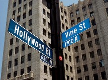 Les Etats-Unis devraient cartonner cette année Les Etats-Unis devraient cartonner cette année