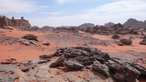 Allibert mise avec succès sur le Sud Algérien sécurisé Allibert mise avec succès sur le Sud Algérien sécurisé