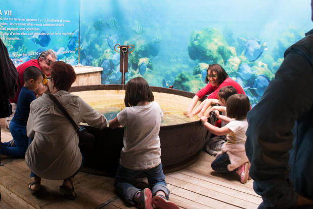 Dans le nouvel Espace Aventure de la ferme aux crocodiles, les jeunes explorateurs apprennent en s'amusant. Bassin tactile © Ferme aux Crocodiles Dans le nouvel Espace Aventure de la ferme aux crocodiles, les jeunes explorateurs apprennent en s'amusant. Bassin tactile © Ferme aux Crocodiles