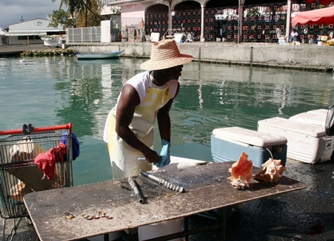 Guadeloupe, Madagascar... le tourisme pris en tenaille par la crise Guadeloupe, Madagascar... le tourisme pris en tenaille par la crise
