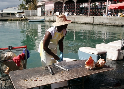 Guadeloupe, Madagascar... le tourisme pris en tenaille par la crise