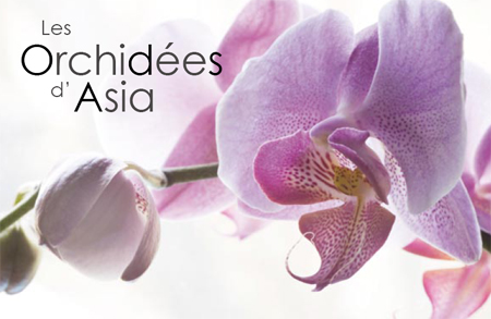 Asia lance l'opération ''Orchidées''