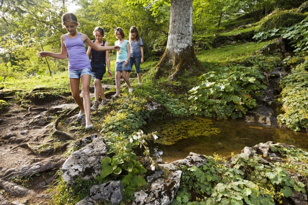 Le jardin botanique La Jaÿsinia révèle la diversité de sa flore aux visiteurs durant les Journées Botaniques 24-25 juin 2017. DR: Stéphanie Cande Le jardin botanique La Jaÿsinia révèle la diversité de sa flore aux visiteurs durant les Journées Botaniques 24-25 juin 2017. DR: Stéphanie Cande