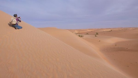 Mauritanie : tous les acteurs mobilisés pour la relance du tourisme