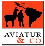 AVIATUR & CO AVIATUR & CO