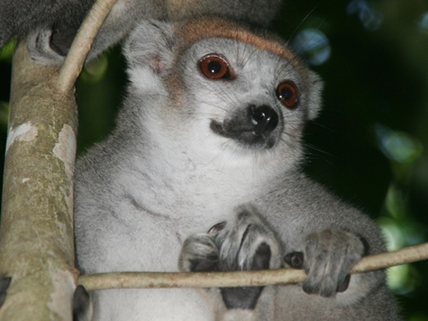 Madagascar " réouverte" au tourisme sur l'ensemble du territoire