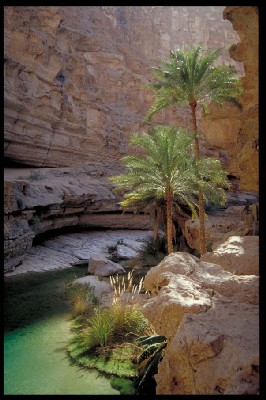 Les paysages sauvages du Sultanat d'Oman sont parmi les plus beaux des Emirats