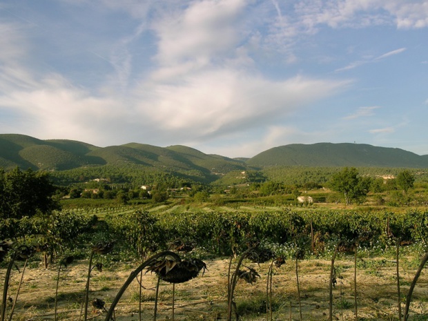 Pour qui sait s’éloigner des bourgs trop fréquentés, le Luberon est un pur bonheur d’itinérance sudiste - DR : J.F.-R. Pour qui sait s’éloigner des bourgs trop fréquentés, le Luberon est un pur bonheur d’itinérance sudiste - DR : J.F.-R.