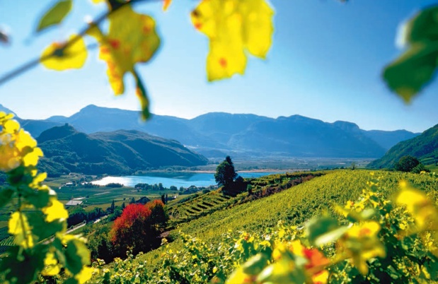 Lago di Caldaro: ©IDM Südtirol_C.Zahn