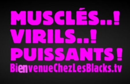 GO Voyages et Air New Zealand lancent ''bienvenuechezlesblacks.tv''