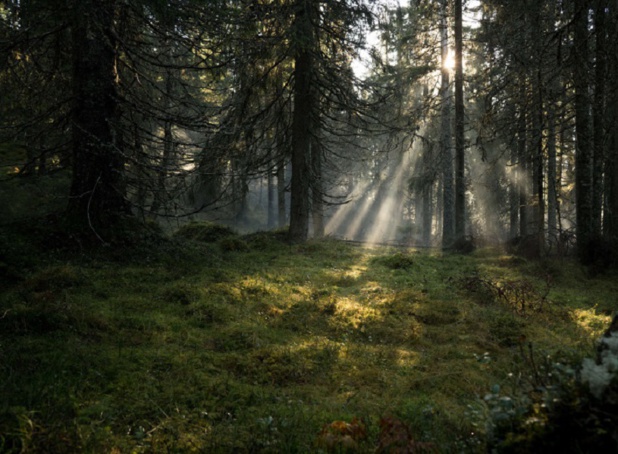 Le partenariat entre un office de tourisme et Airbnb est le premier du genre (c) Airbnb Le partenariat entre un office de tourisme et Airbnb est le premier du genre (c) Airbnb