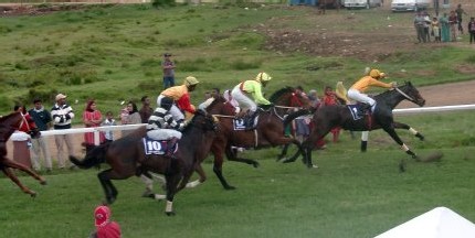 ''Governors Cup'', courue depuis 50 ans dans l'unique Club turfiste du pays ''Governors Cup'', courue depuis 50 ans dans l'unique Club turfiste du pays