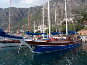 II - ''Saison de la Turquie'' : l'un des meilleurs rapports qualité-prix du moment II - ''Saison de la Turquie'' : l'un des meilleurs rapports qualité-prix du moment