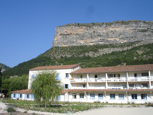 Les Lavandes à Rémuzat devant la falaise aux vautours