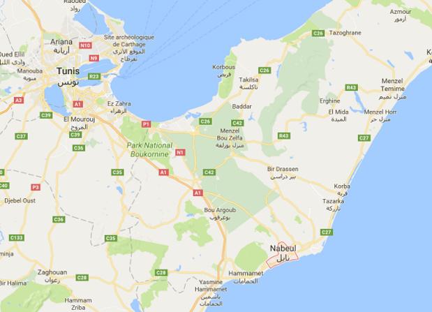Tunisie : 2 touristes allemandes agressées à l'arme blanche