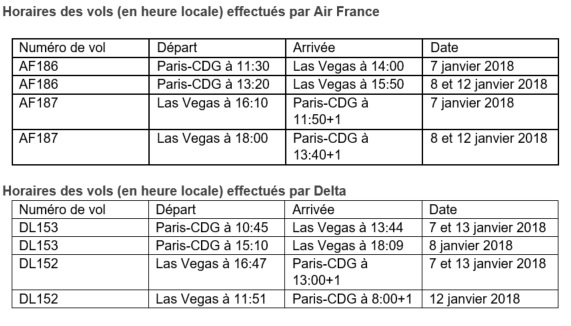 CES Las Vegas 2018 : Air France et Delta mettent en place 12 vols spéciaux