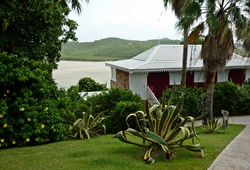 II - Martinique : dans l'île « debout » seuls plient les cocotiers...