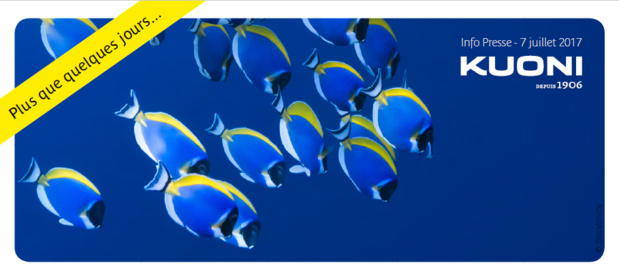 DR : Kuoni France DR : Kuoni France