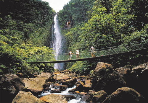 Un hymne à la nature - Chutes du Carbet / Copyright Les Iles de Guadeloupe