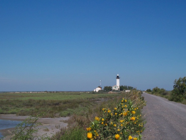 Des Saintes-Maries-de-la-Mer à Beauduc, la randonnée à vélo dévoile le meilleur de la Camargue - DR : J.-F.R.