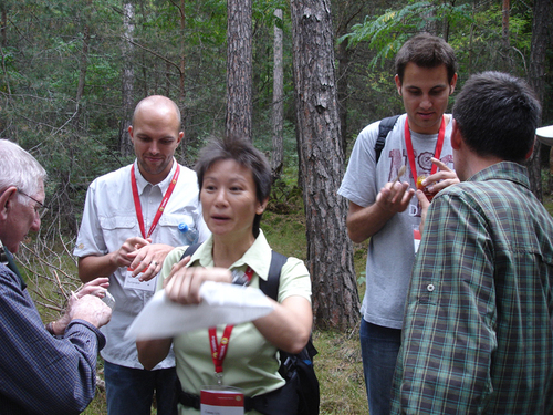 Dégustation d'argousier dans le parc de Pfyn-Finges