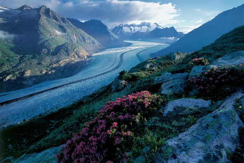 Le glacier d'Aletsch, inscrit à l'Unesco