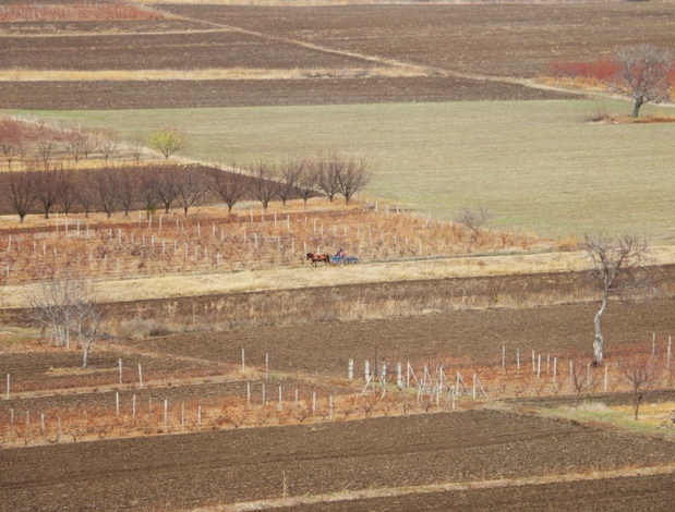 La Moldavie est une terre de plaines et de faibles collines, drainée par des rivières. Un pays sans façade maritime, bien qu’à portée de fusil de la mer Noire - DR : J.-F.R.