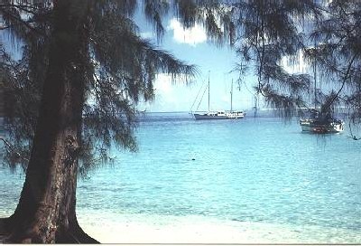 Polynésie : tourisme, ''l'un des points noirs de 2004''