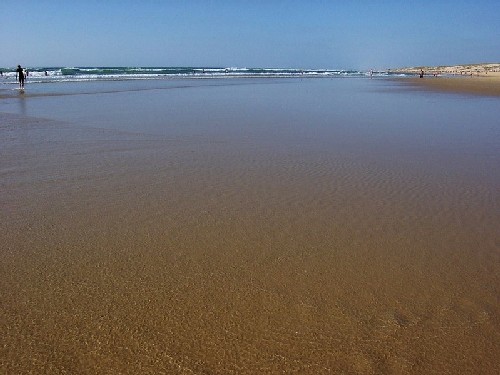 Pollution et baignade interdite sur une plage de Gironde