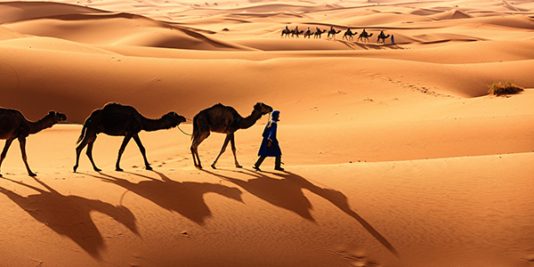 Allibert Trekking figure parmi les voyagistes qui reviennent en Mauritanie dès l'hiver 2017/2018 - Photo : Allibert Trekking