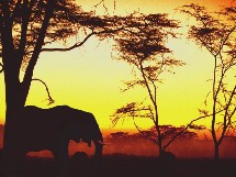 African Safari Club : le Kenya au départ de Marseille Provence