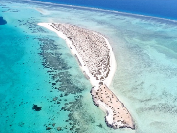 le projet touristique de l'Arabie Saoudite compte 50 îles encore protégées - photo Red Sea Project
