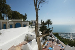 COSTA GROUP TUNISIE COSTA GROUP TUNISIE