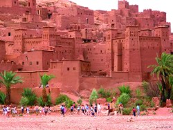 COSTA GROUP MAROC COSTA GROUP MAROC