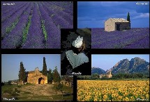 Enquête d'opinion dans la région de Paca Enquête d'opinion dans la région de Paca