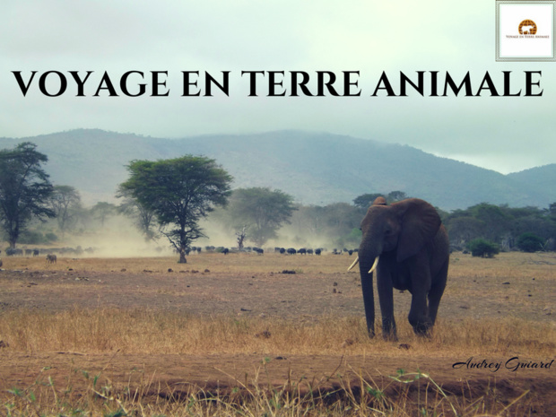 Repenser le tourisme pour la pérennité de la nature. Photo: Audrey Guiard